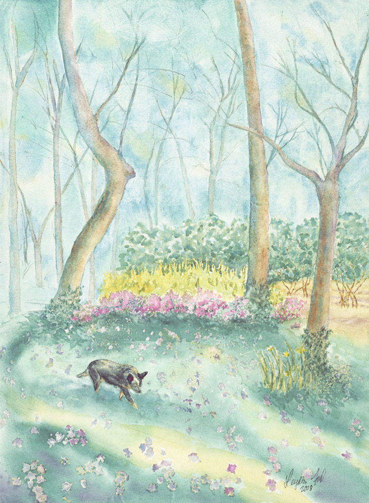 Wrangler in the Woods (Spring)